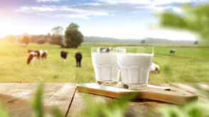 Two glasses of milk on wooden table.