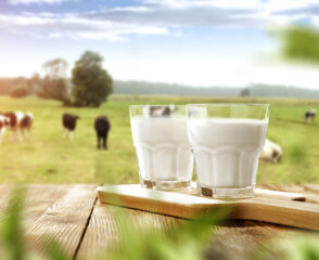 Two glasses of milk on wooden table.