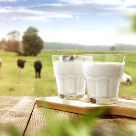 Two glasses of milk on wooden table.
