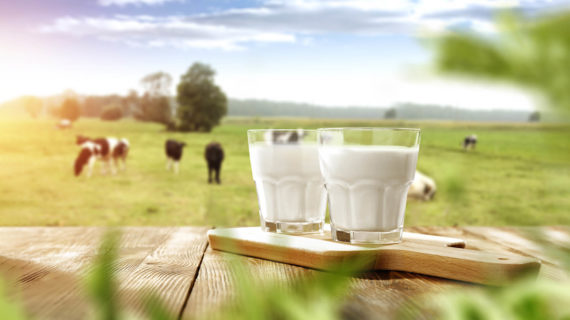 Two glasses of milk on wooden table.