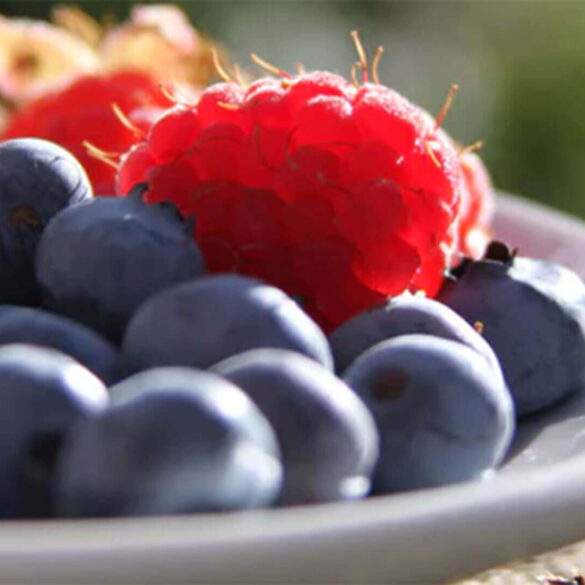 Plate of fresh blueberries and raspberries.