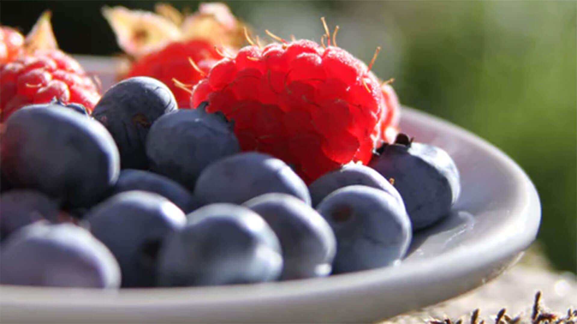 Plate of fresh blueberries and raspberries.