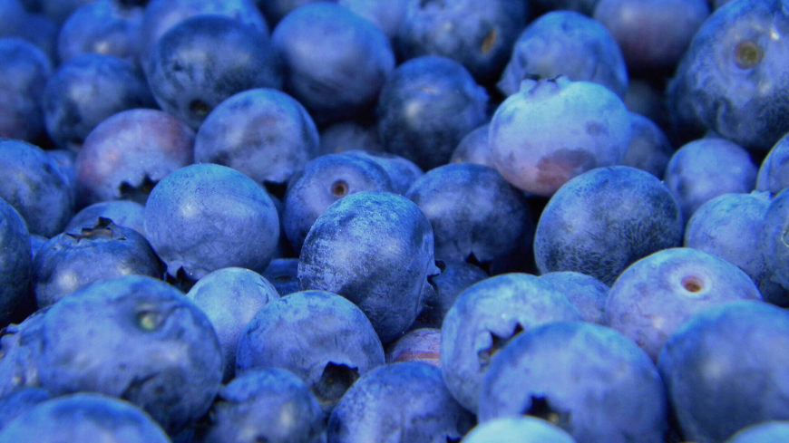 Fresh blueberries in close-up view.