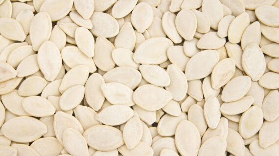 Close-up of pumpkin seeds in bulk.