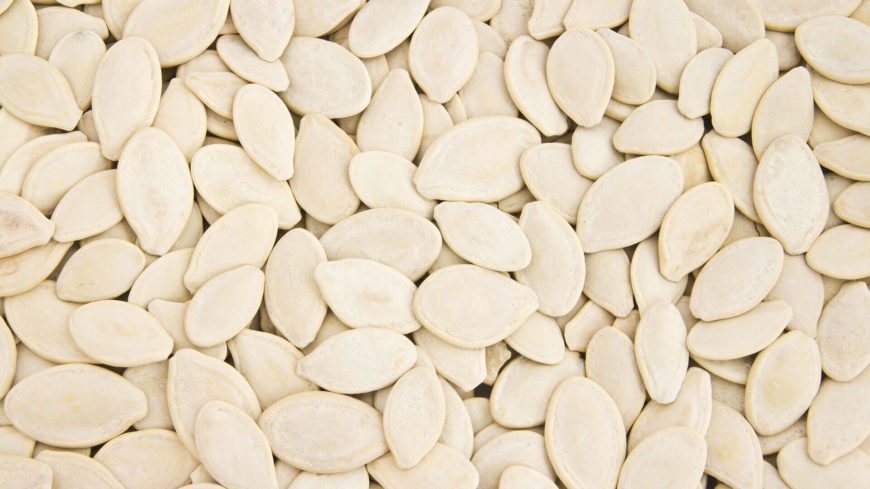 Close-up of pumpkin seeds in bulk.