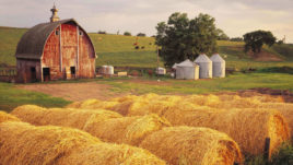 Red barn and hay bales on farm.