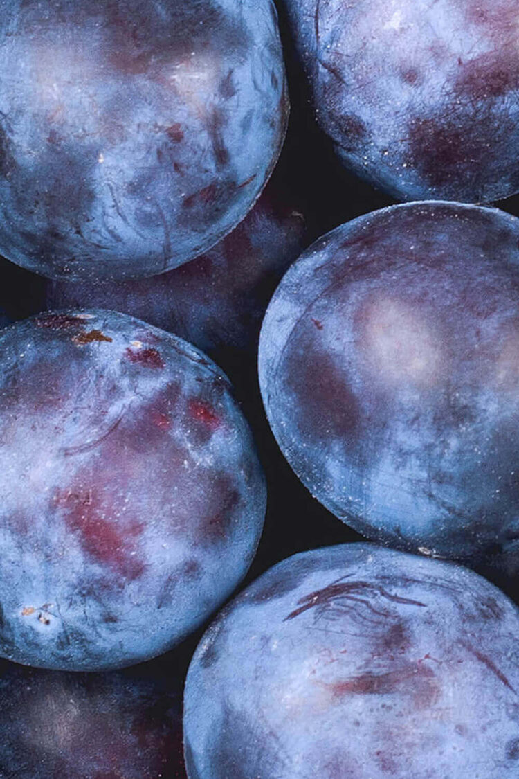 Close-up of fresh ripe purple plums.