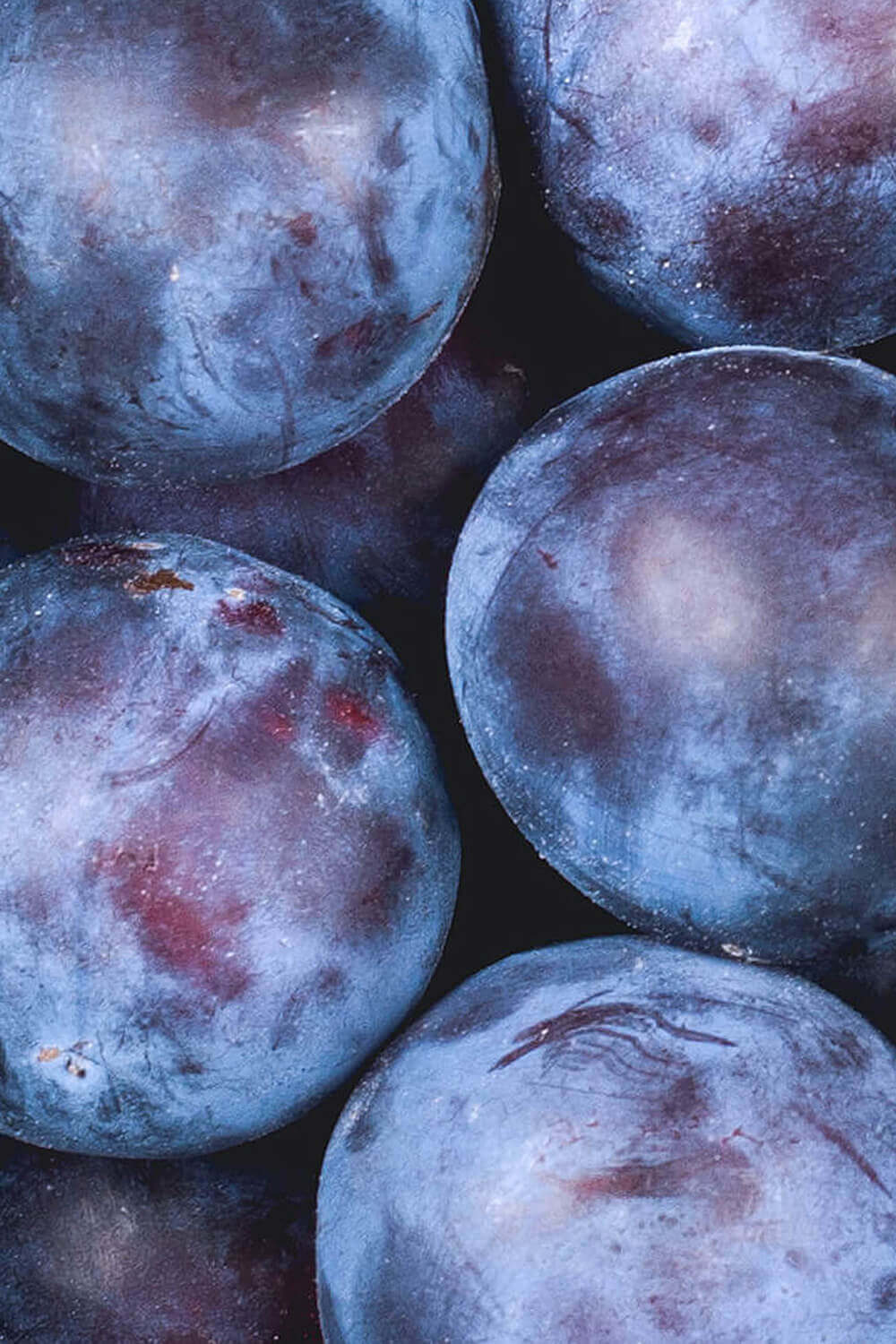 Close-up of fresh ripe purple plums.