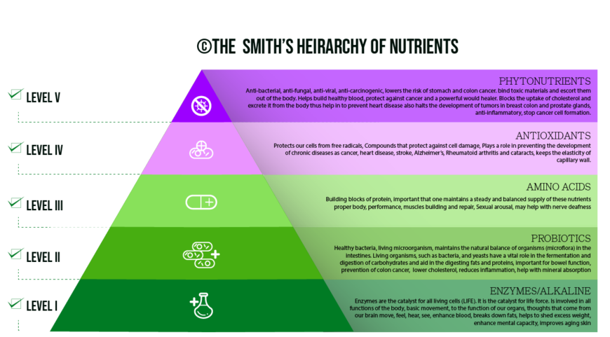 smiths heirarchy of nutrients